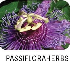 passiflora herbs