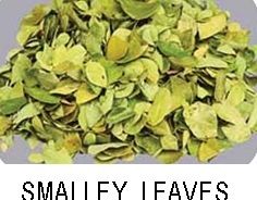 Smalley Leaves Smalley Leaves