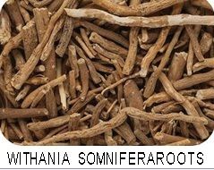 Withania Somnifera roots