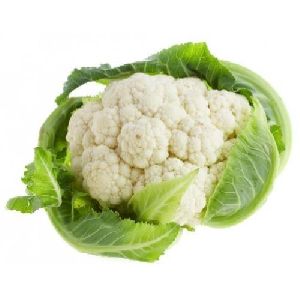 fresh cauliflower