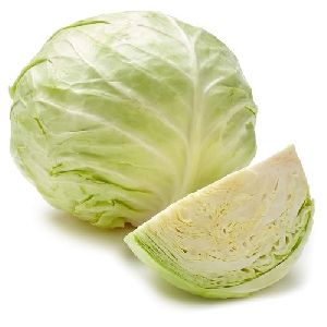 fresh cabbage