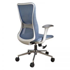 Yoto Ergonomic Medium Back Chair with Better Lumbar Support &amp;ndash; Blue and Gray Finish