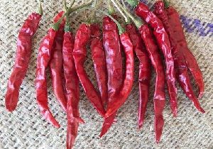 Sannam 334 Dry Red Chilli