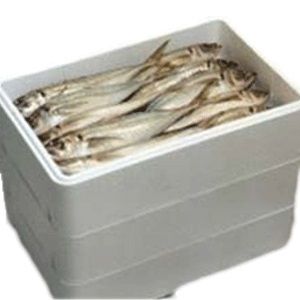 Rectangular Thermocol Fish Box, Pattern : Plain, Color : White at Best Price  in Virar