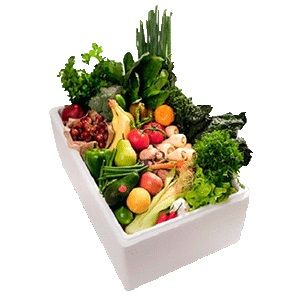 Thermocol Vegetable Box