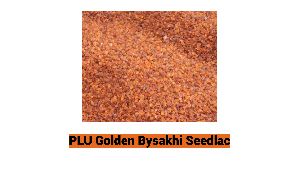 Golden Bysakhi Seedlac