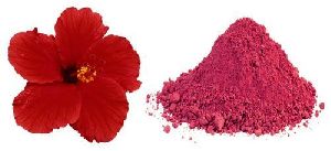 hibiscus flower powder