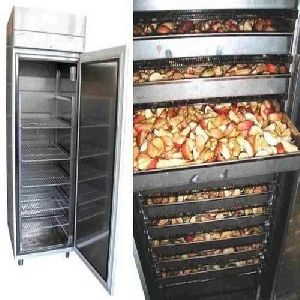 Fruits And Vegetable Dryer