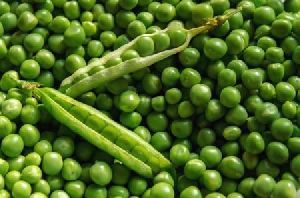 Fresh Peas