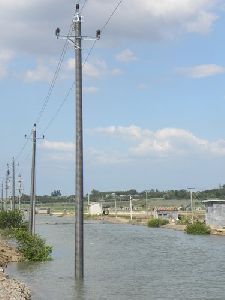 Light Utility Pole
