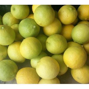 Fresh Natural Lemon