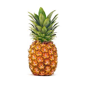 Fresh Natural Pineapple