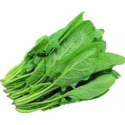 Fresh Natural Spinach Leaves