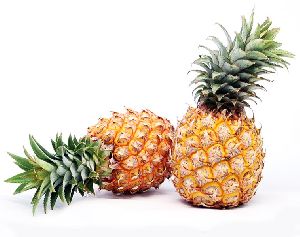 Fresh Organic Pineapple