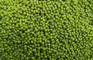 Whole Green Moong Beans