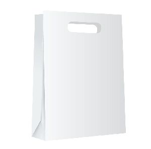 13X19 cm White Paper Bag