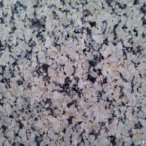 Apple Green North India Granite Stone