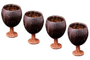 Coconut Shell  Cup