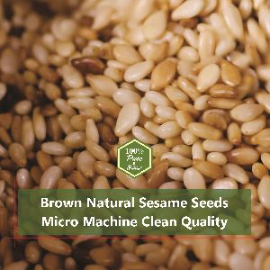 Brown Natural Sesame Seeds Micro Machine Clean Quality