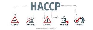 HACCP  Certification Consultant in  Noida.
