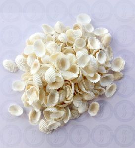 Clean Seashells