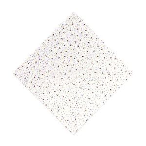 Silicate Ceiling Tile