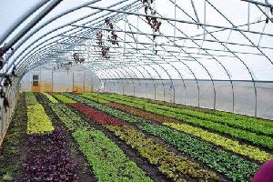 Horticulture Farm Development Services
