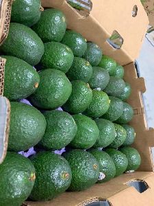 organic avocado