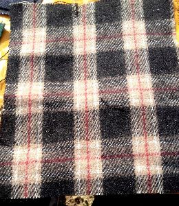 Check Fabric woolen