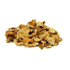 Natural Dried Oyster Mushroom