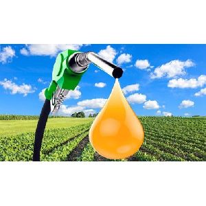 Biodiesel Fuel