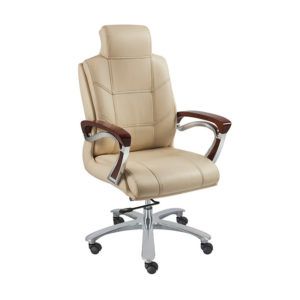 Director Office chairs