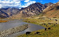 Ladakh With Zanskar Valley Package