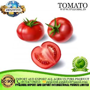 tomato