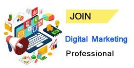 Digital Marketing Professional Course