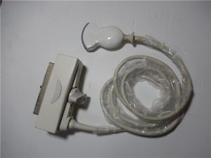 Biosound Esaote CA541 Convex Ultrasound Transducer