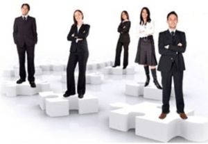 Repurchase MLM Software Development