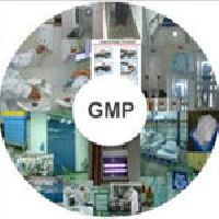 GMP Services