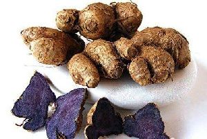 Black Turmeric