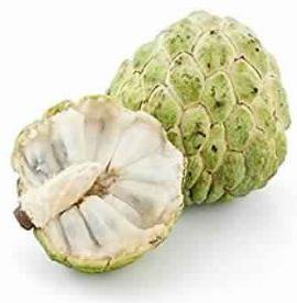 Organic Fresh Custard Apple, Packaging Type : Plastic Pouch