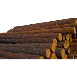 Wood Timber Logs