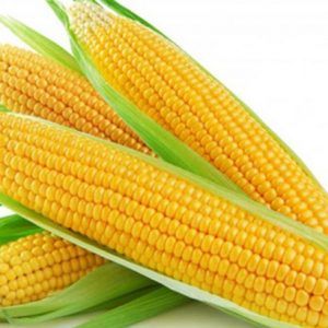 Fresh Corn