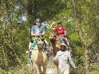 Camel Riding