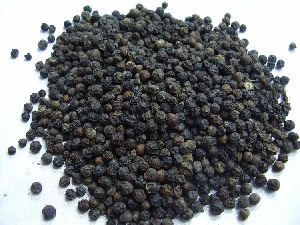 Black Paper Seeds