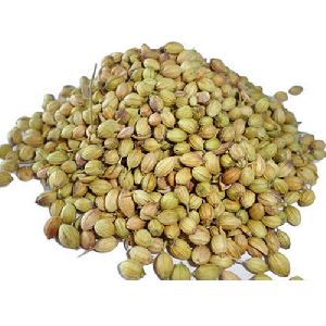 coriander seeds