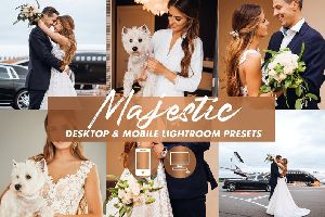 Mobile Lightroom Preset MAJESTIC Warm Moody Premium Wedding Fashion Lifestyle Blogger Desktop Preset