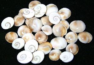 Gomti Chakra Stone