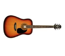 Ashton SPD25 Starter Pack Acoustic Guitar