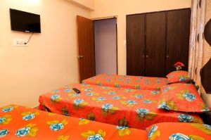 Paying Guest Rental Services In Noida Sector 50