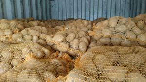 Potato, Packaging Type : Yellow